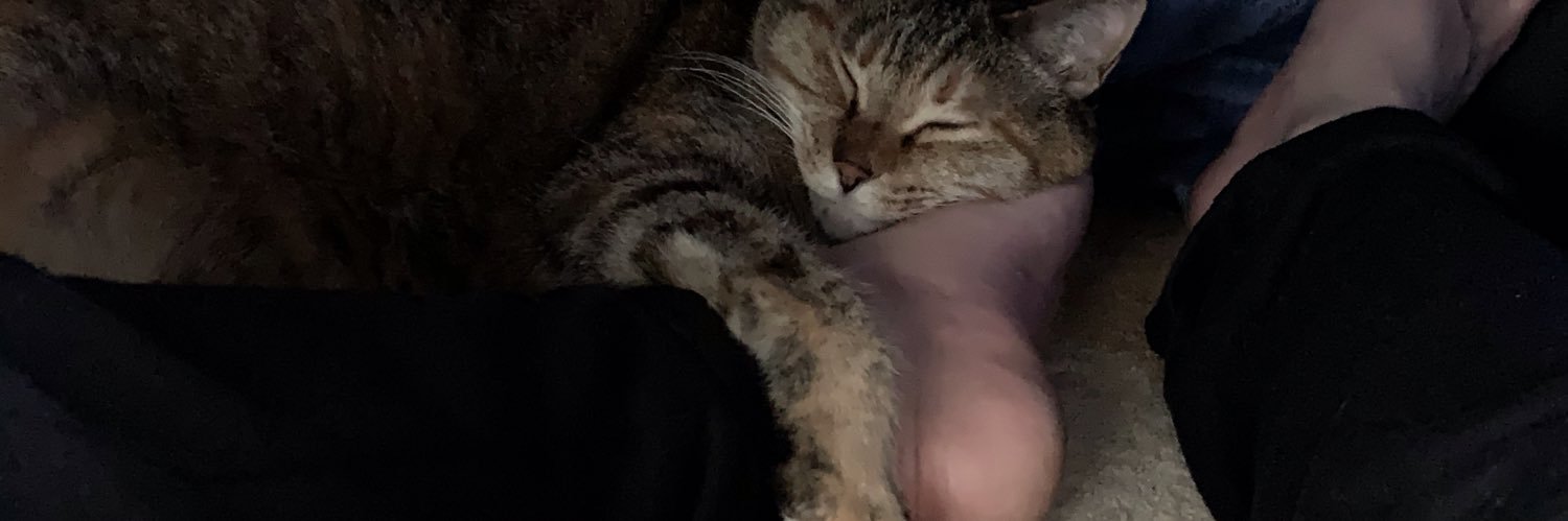 a_minotty's profile banner image