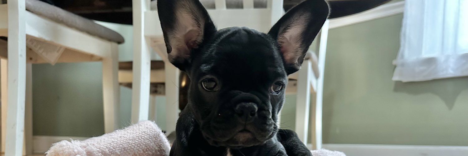 notmiam's profile banner image