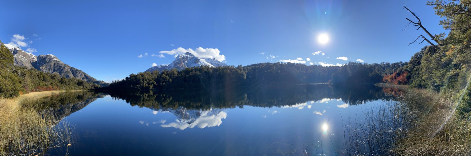 franciscótico banner