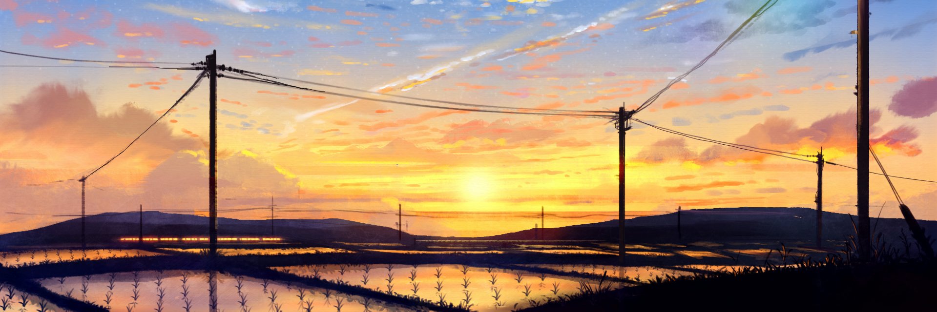 crosssli's profile banner image