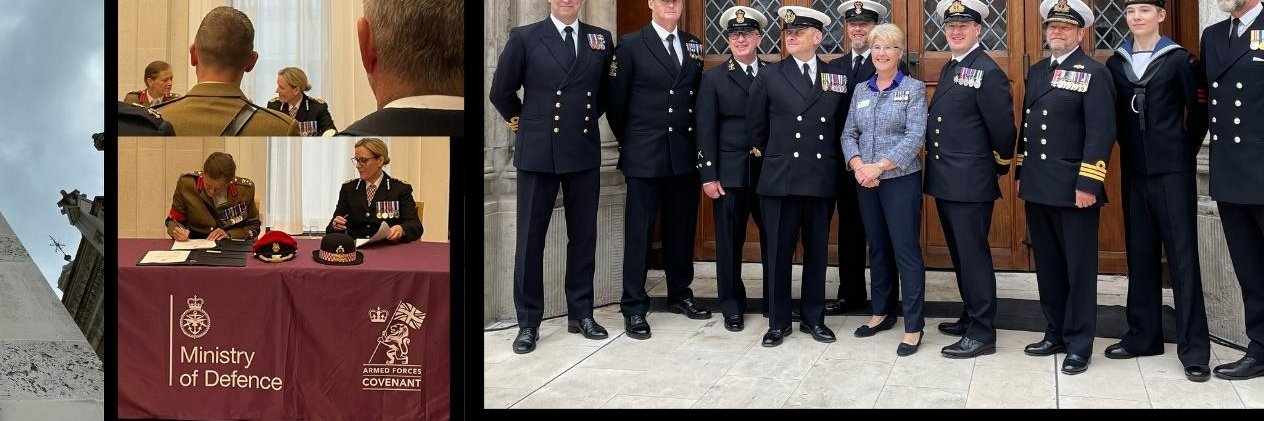 Greater London RFCA banner