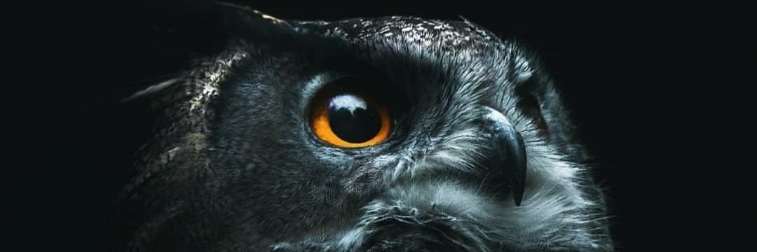 Yufi55's profile banner image