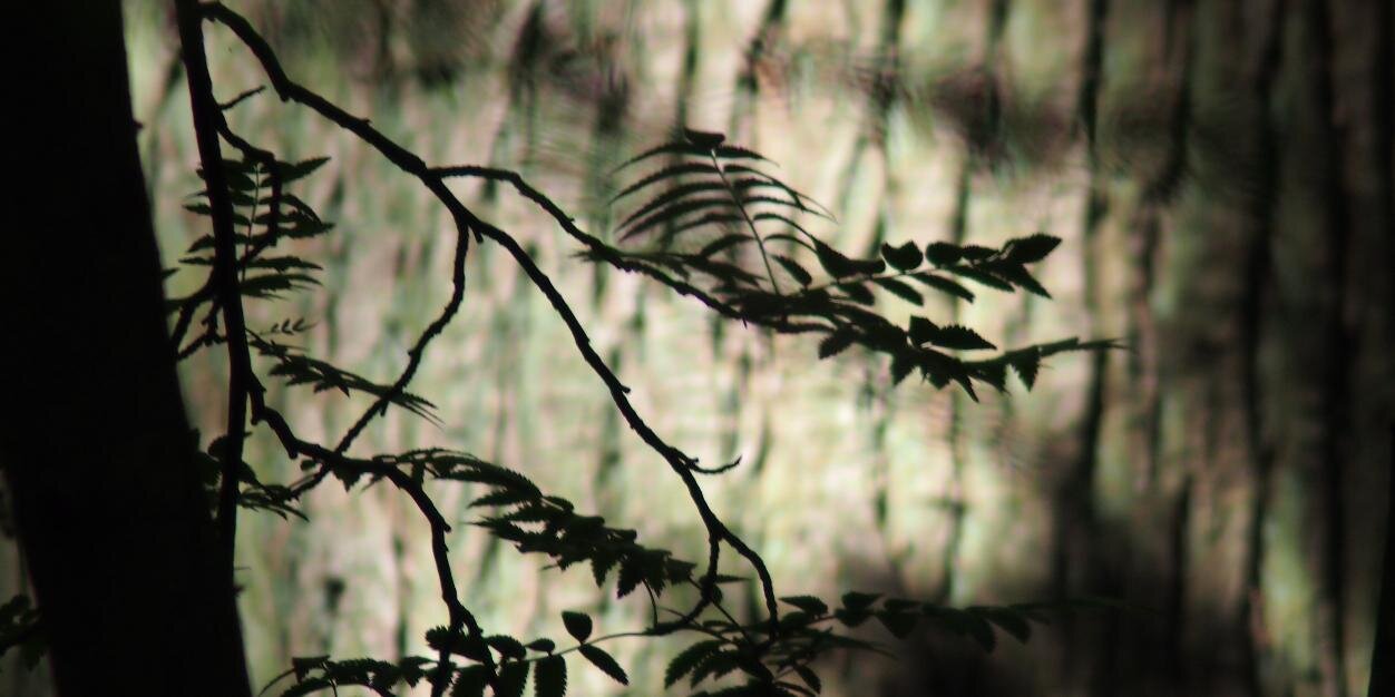 VeryanWeston's profile banner image