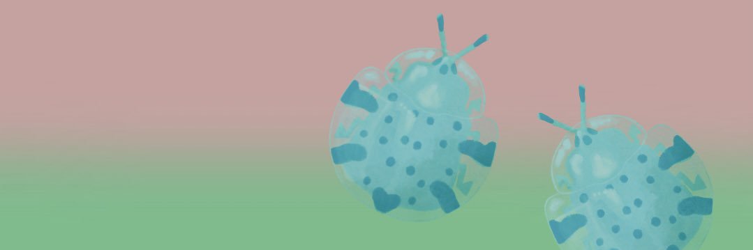 .☘︎ ݁˖ keeks! banner