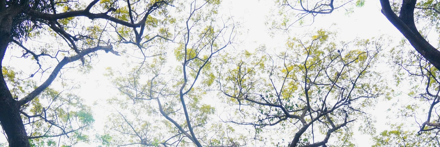 tretresna's profile banner image