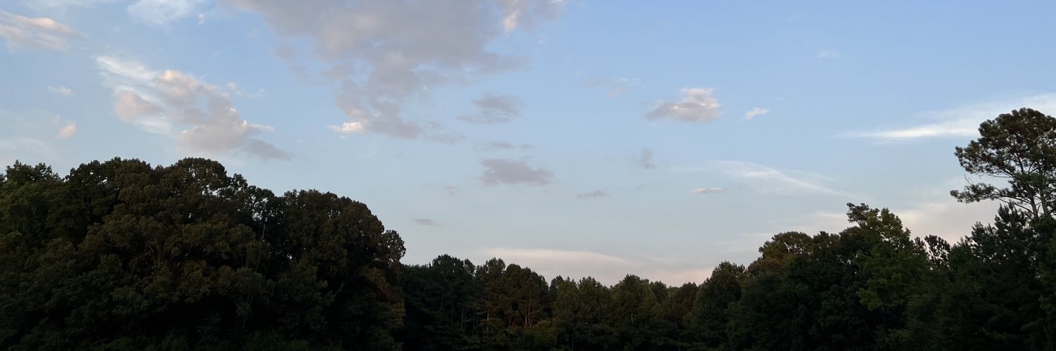 roseycheekd's profile banner image