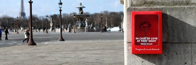 melobranquinho's profile banner image