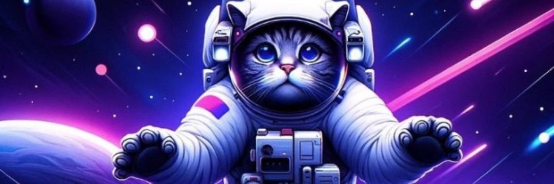nyan2_crypto's profile banner image