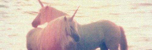 (˶ˆᗜˆ˵) banner