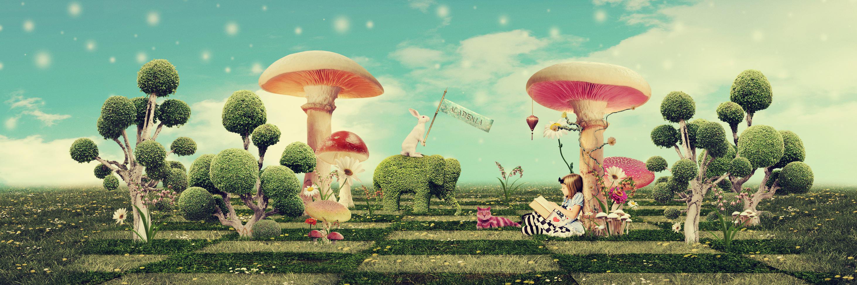 Katherine Collins banner