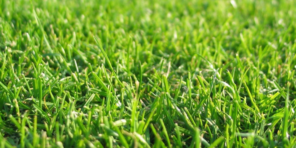 thewinningpost's profile banner image