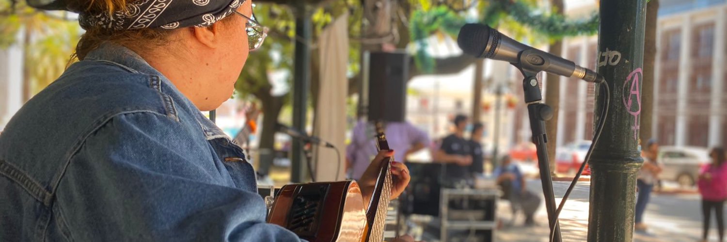 flauramusic's profile banner image