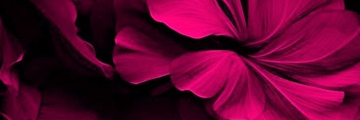 TheDigitalDza✨📲's banner