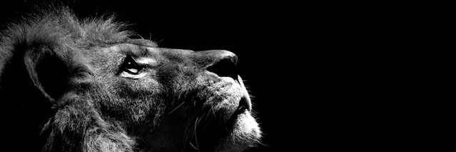 antoniputro7's profile banner image