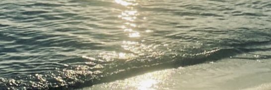 🍊 banner