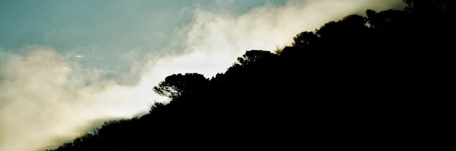 Pere Cardús i Cardellach banner