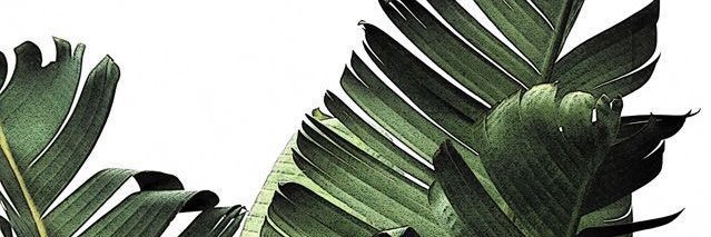 hazrasamir's profile banner image