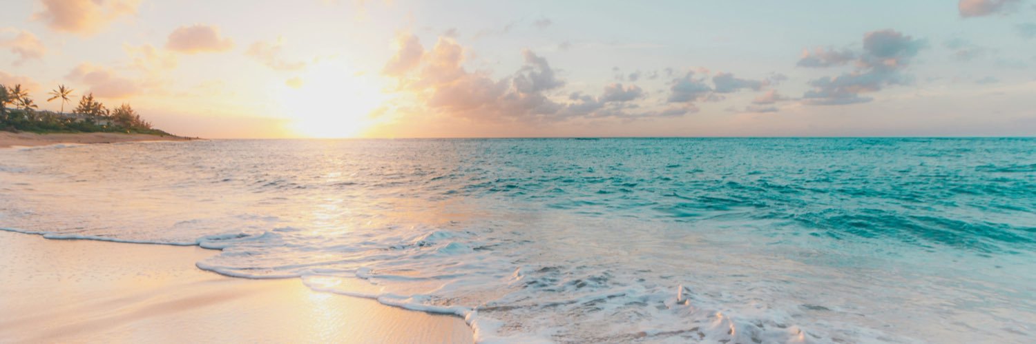 Veronica Snow banner