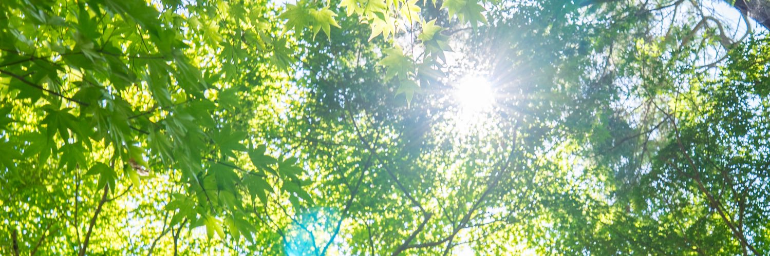 むぅこ☺︎初マタ35w🎀→0m👶🏻 banner