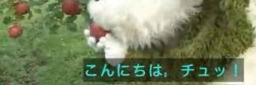 三三三. 5/5東３ま05a banner