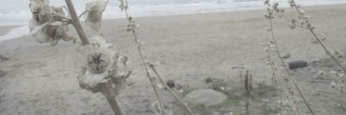 wontulistentome's profile banner image