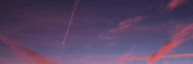 Elon Mosquit 🦟 banner