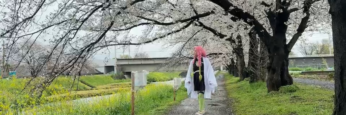 Mi2ri_sakura's profile banner image