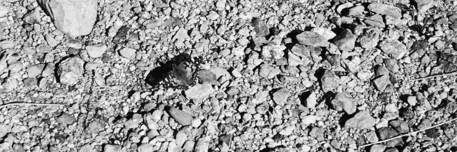 troy anderson banner