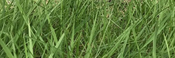 robertpopken99 Profile Banner