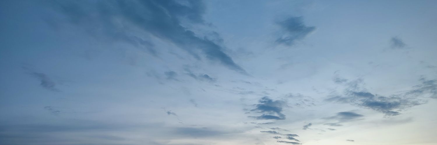 ToeyBangsai1992's profile banner image