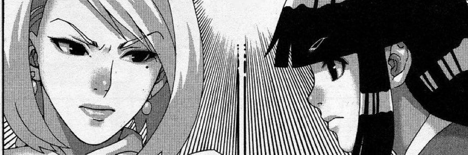 annie's banner