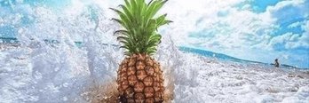 quesochesequeso's profile banner image