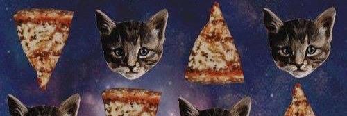 alesa13's profile banner image