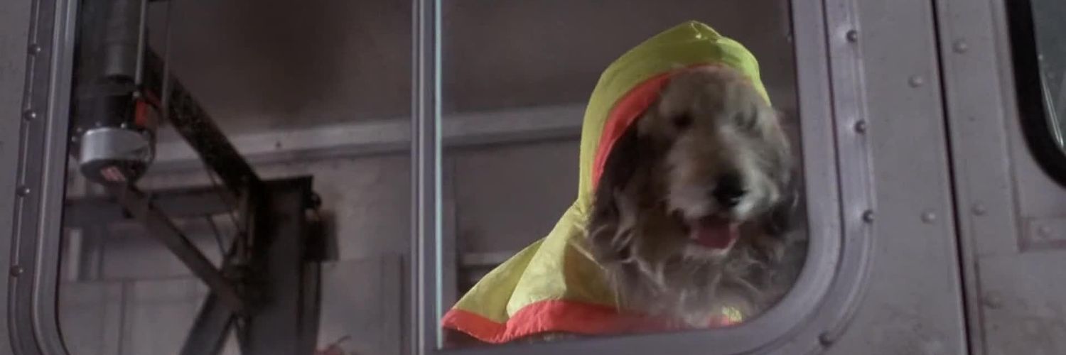 Shorty McFly's banner