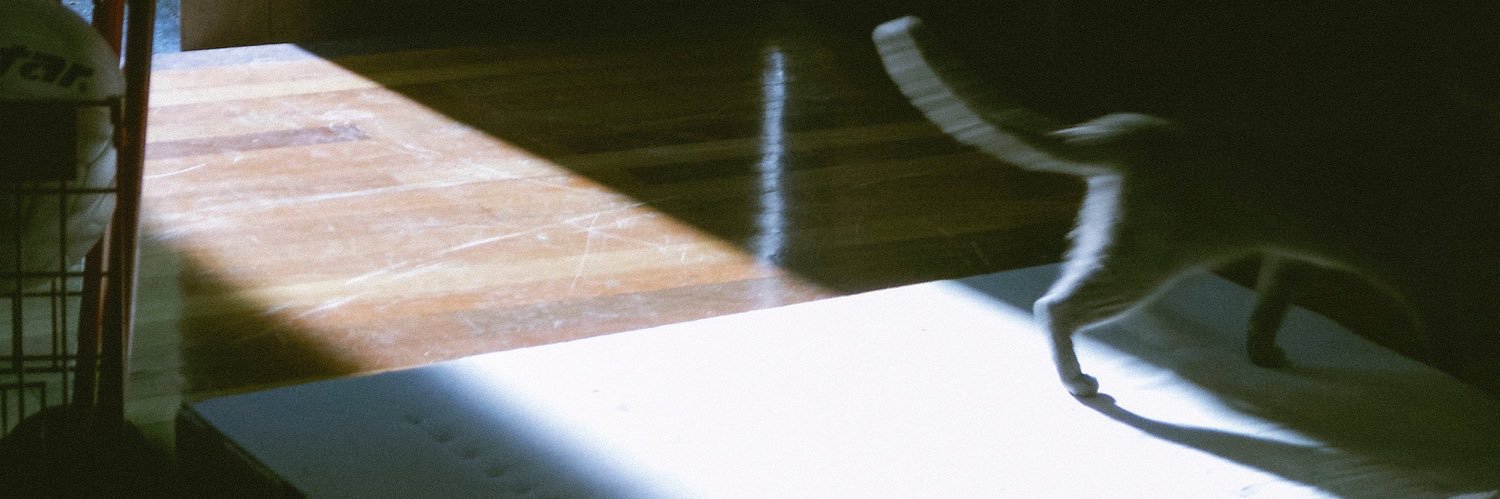 rosie banner