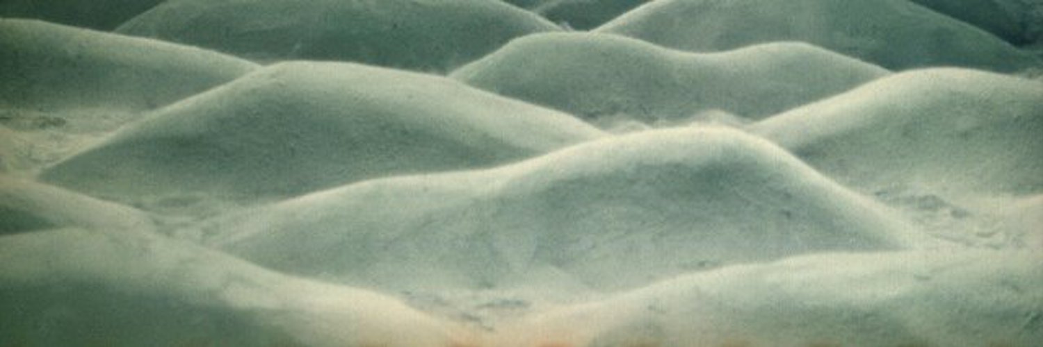 Gray Tarkovsky Profile Banner