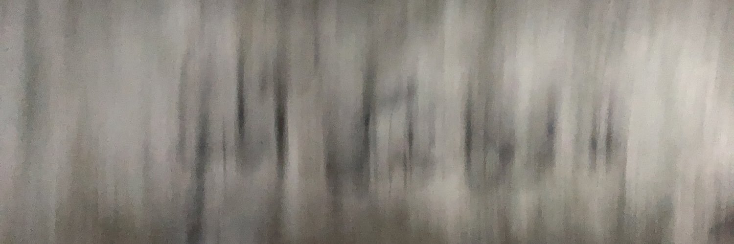Sarina banner