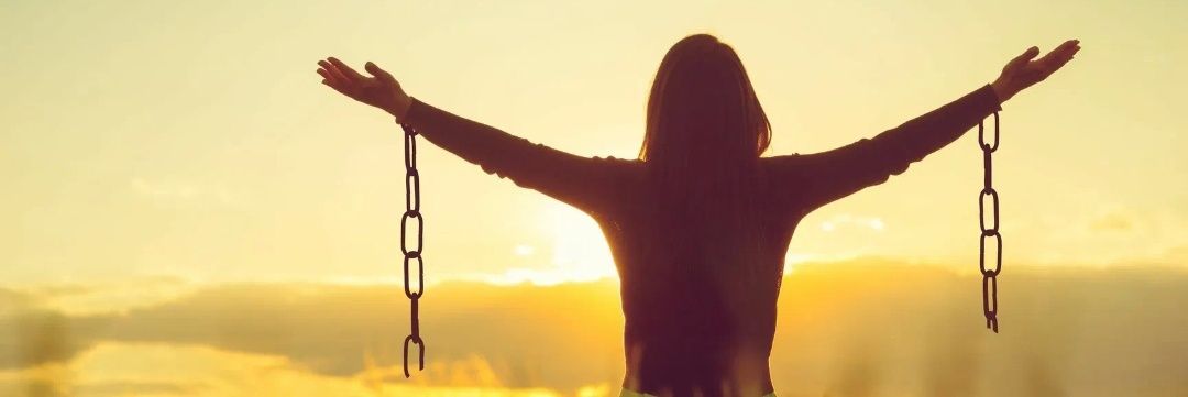 новый Лысый's banner