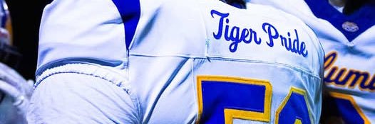 De’Manuel Jones banner