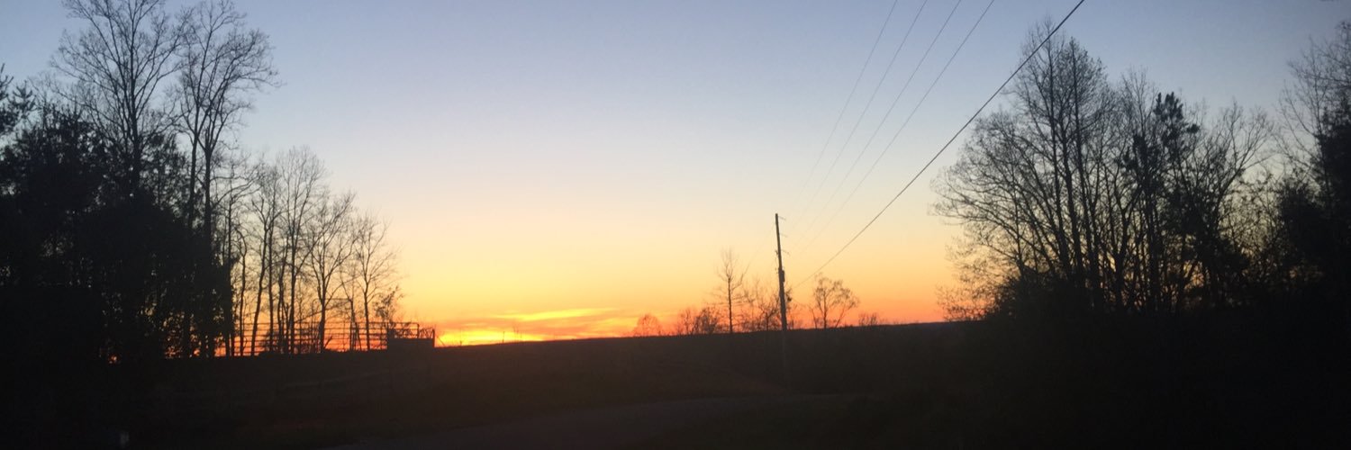 TriMariFri's profile banner image