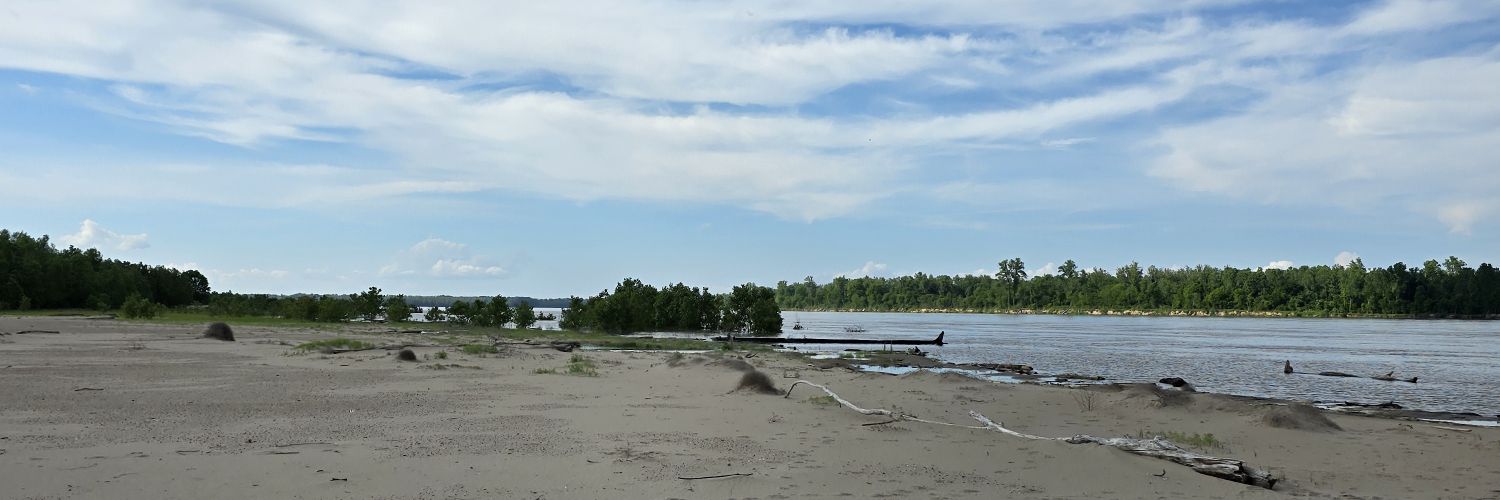 I FRY BACON NAKED banner