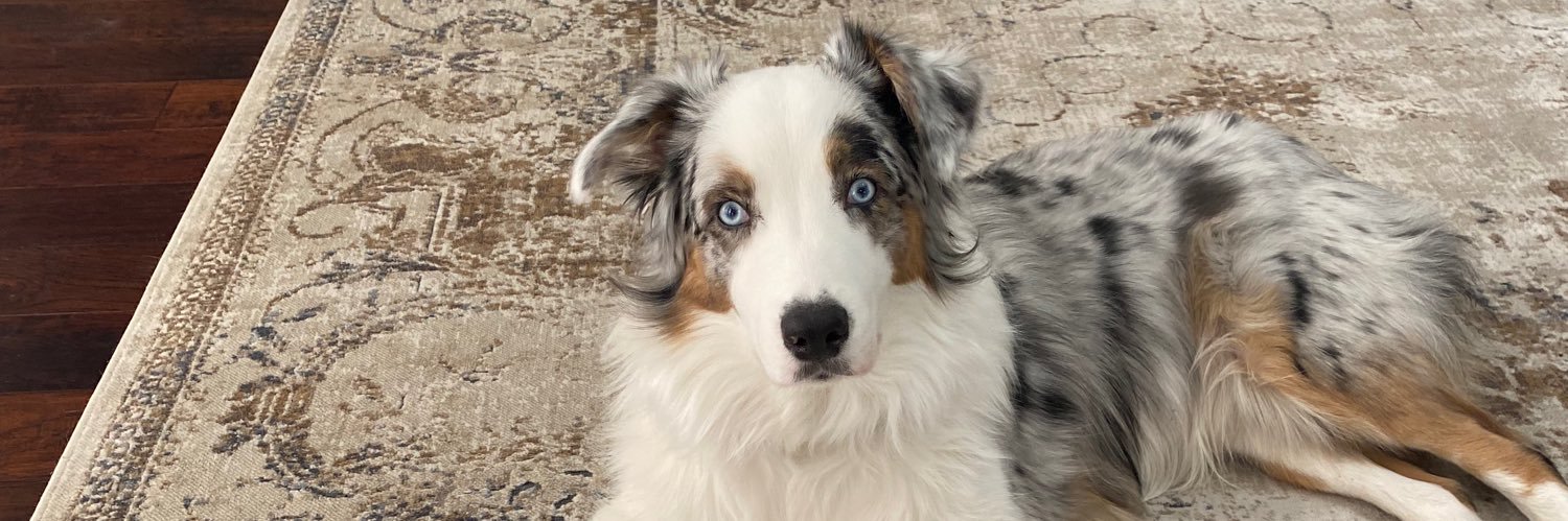 John Sandblom banner