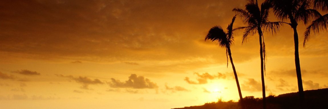 bernoff01's profile banner image