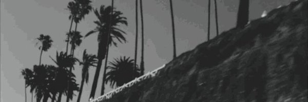 wlwtarlos Profile Banner