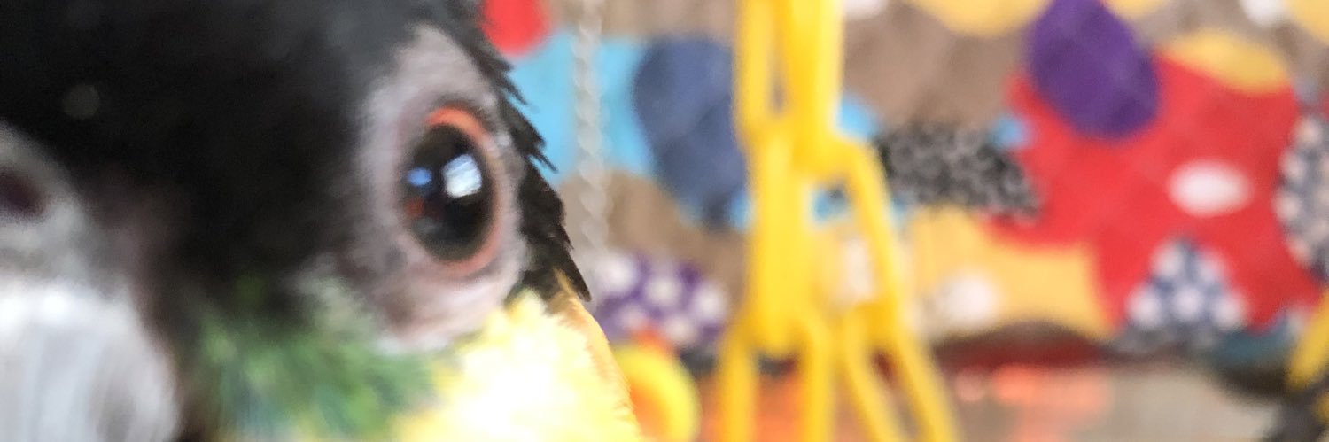 おきぬけ banner