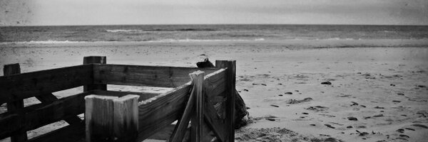 _ajayijoseph Profile Banner