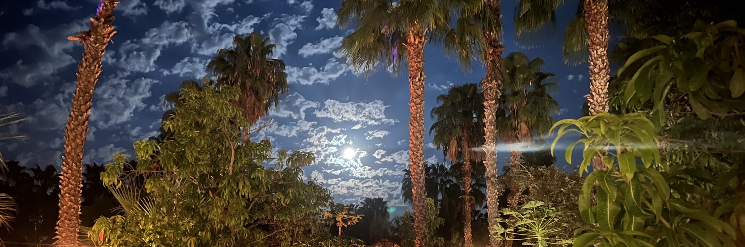 SKEPTICALROBOT banner