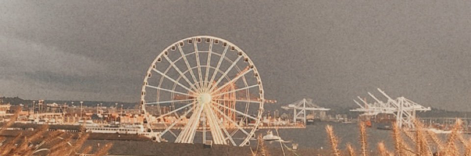 lynanne ᓚᘏᗢ banner