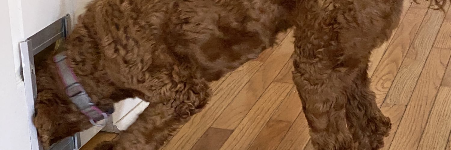 siriusbates's profile banner image