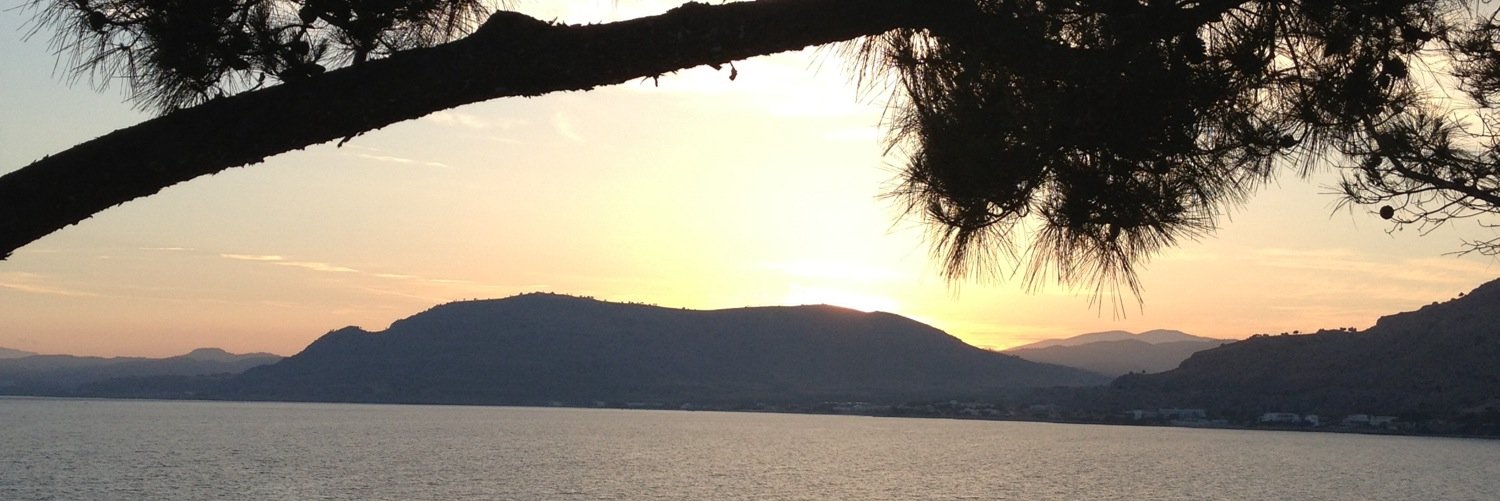 leherbmeister's profile banner image